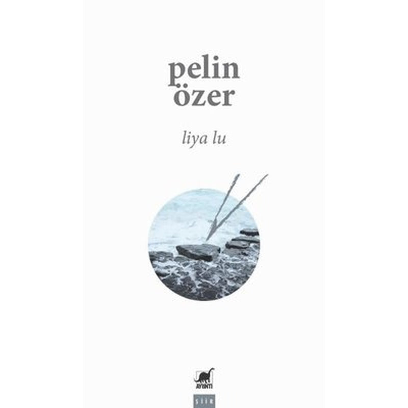Liya Lu | Ayrıntı Yayınları