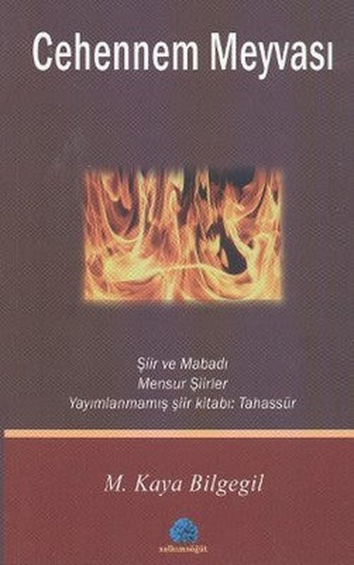 Cehennem Meyvası | Salkımsöğüt Yayınları