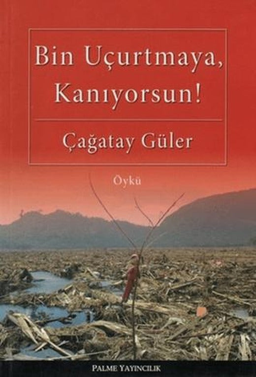 Bin Uçurtmaya, Kanıyorsun! | Palme Yayıncılık (Ciltsiz)