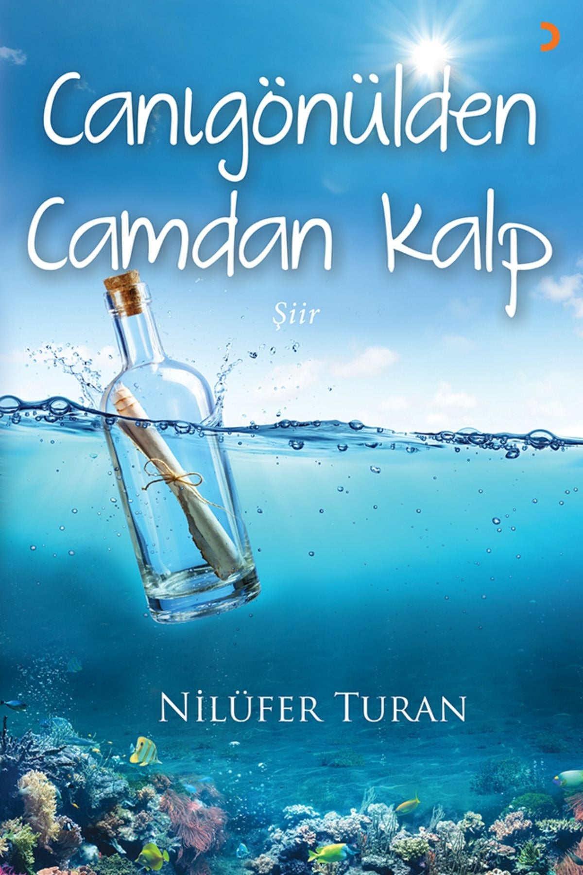 Canıgönülden Camdan Kalp