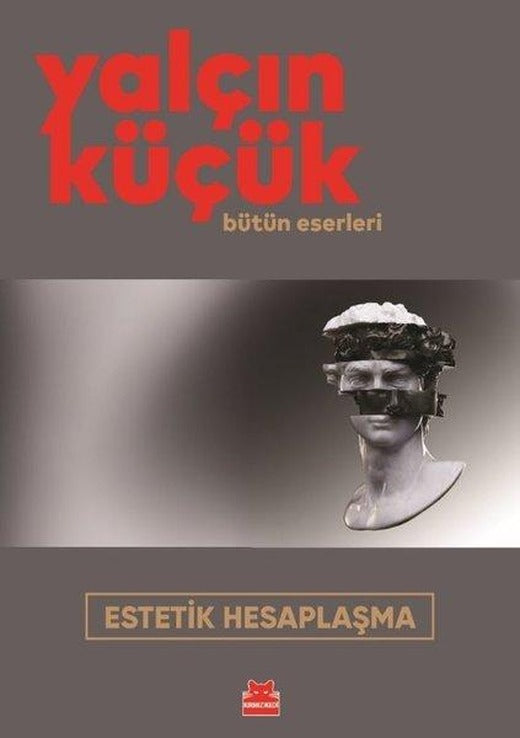 Estetik Hesaplaşma | Kırmızı Kedi (İnce Kapak)