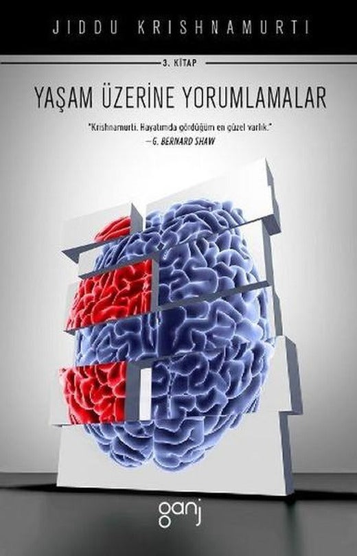 Yaşam Üzerine Yorumlamalar Cilt 3 | Ganj Yayınları - Felsefe Bilgelik Dizisi (İnce Kapak)