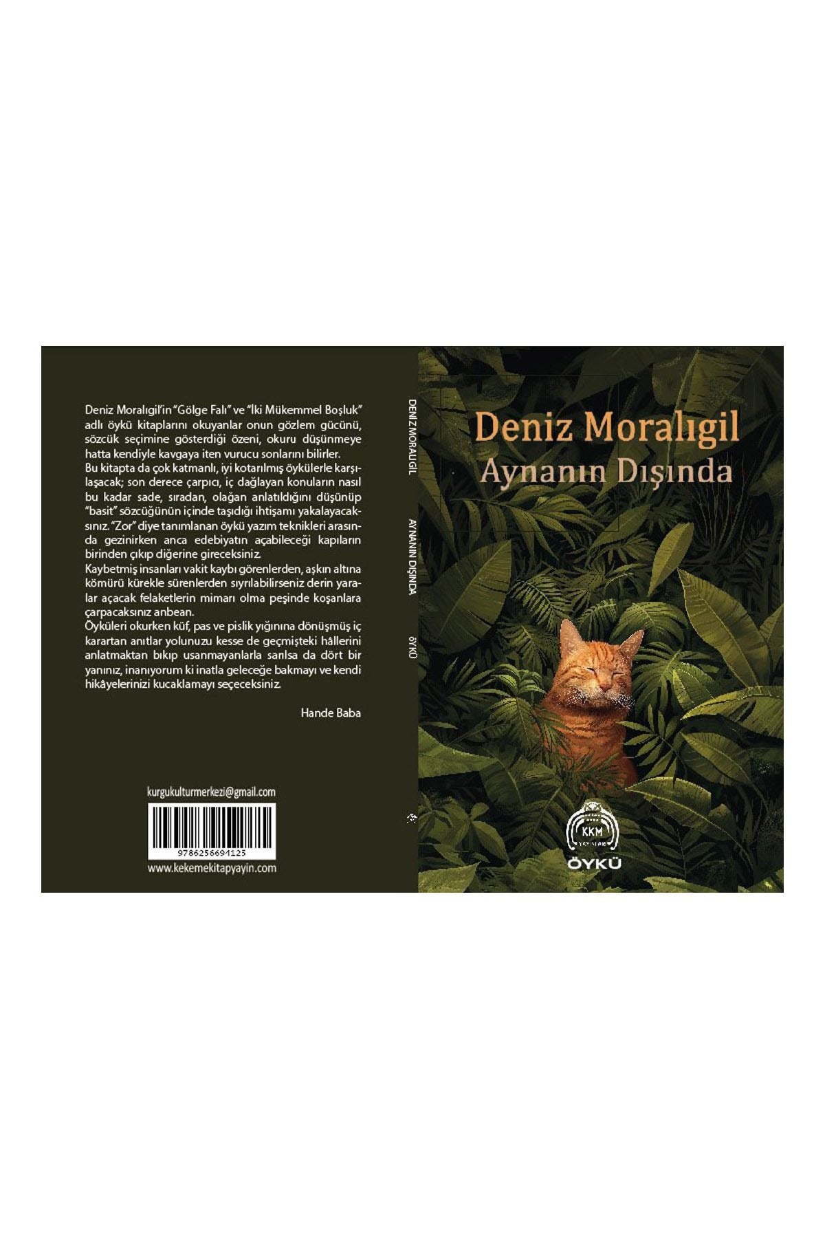 Aynanın Dışında