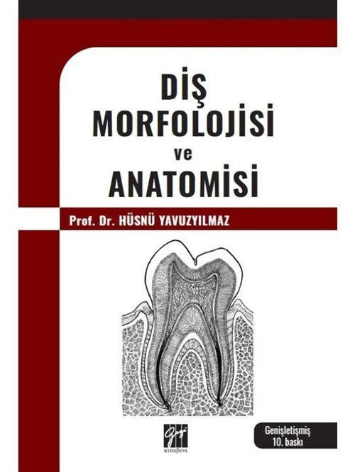 Diş Morfolojisi ve Anatomisi | Gazi Kitabevi (Ciltsiz)