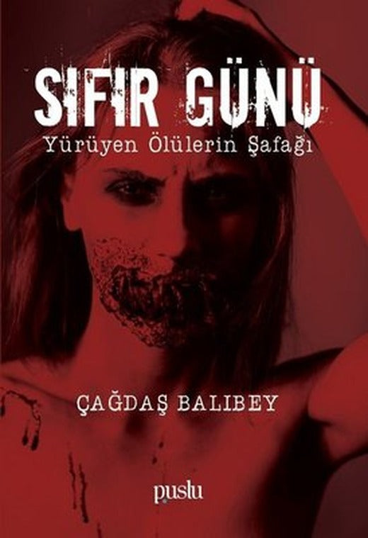 Sıfır Günü | Puslu Yayıncılık