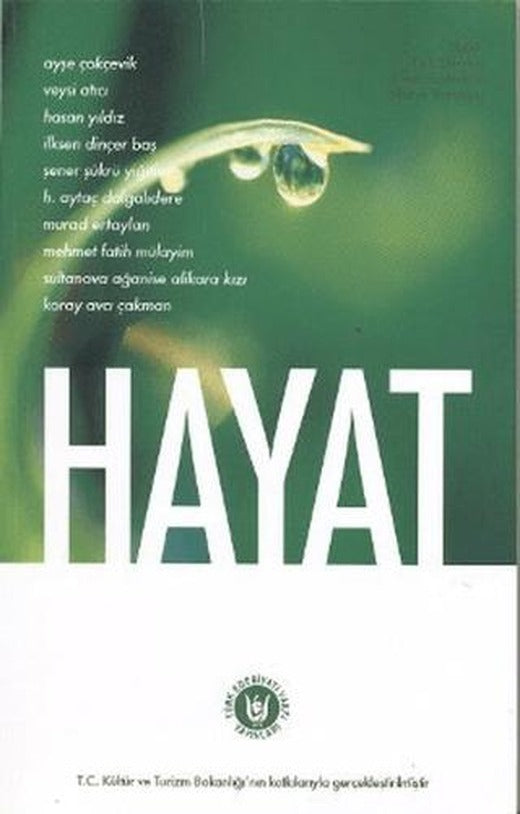 Hayat | Tedev Yayınları (Ciltsiz)
