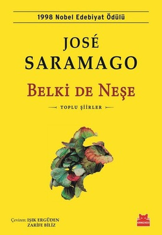 Belki de Neşe | Kırmızı Kedi