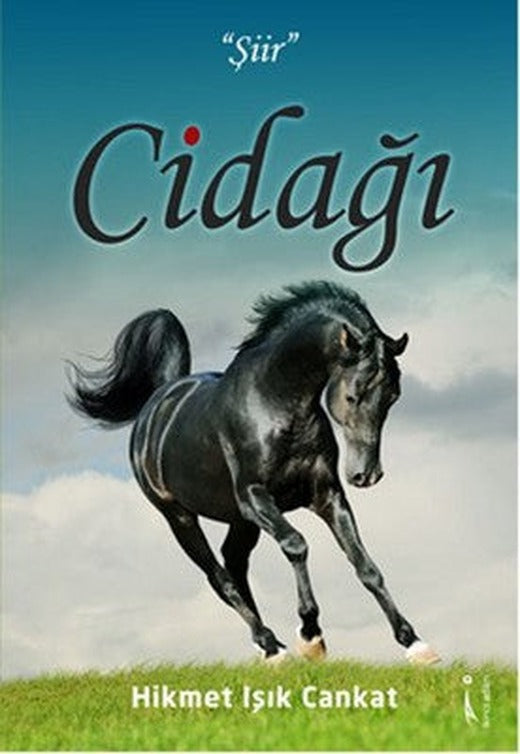 Cidağı | İkinci Adam Yayınları