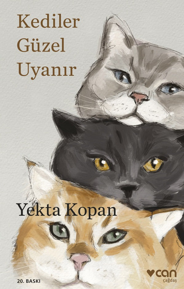 Kediler Güzel Uyanır | Can Yayınları - Öykü Dizisi (İnce Kapak)