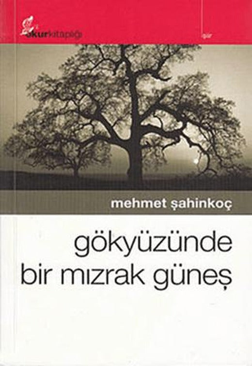 Gökyüzünde Bir Mızrak Güneş | Okur Kitaplığı (Ciltsiz)