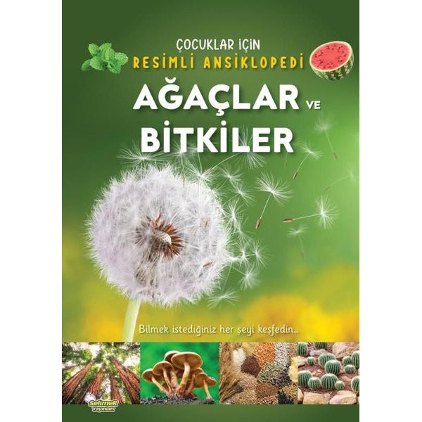 Ağaçlar ve Bitkiler - Çocuklar İçin Resimli Ansiklopedi | Selimer (İnce Kapak)