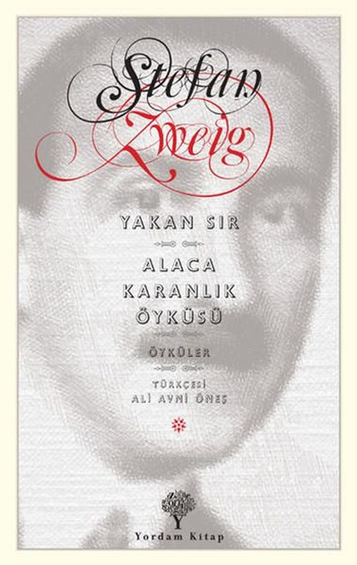 Yakan Sır - Alacakaranlık Öyküsü | Yordam Kitap - Öykü Dizisi (e-Kitap)