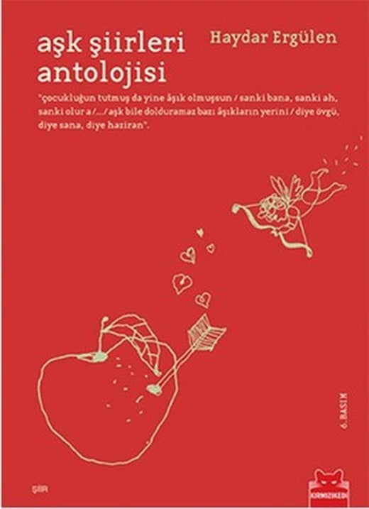 Aşk Şiirleri Antolojisi | Kırmızı Kedi