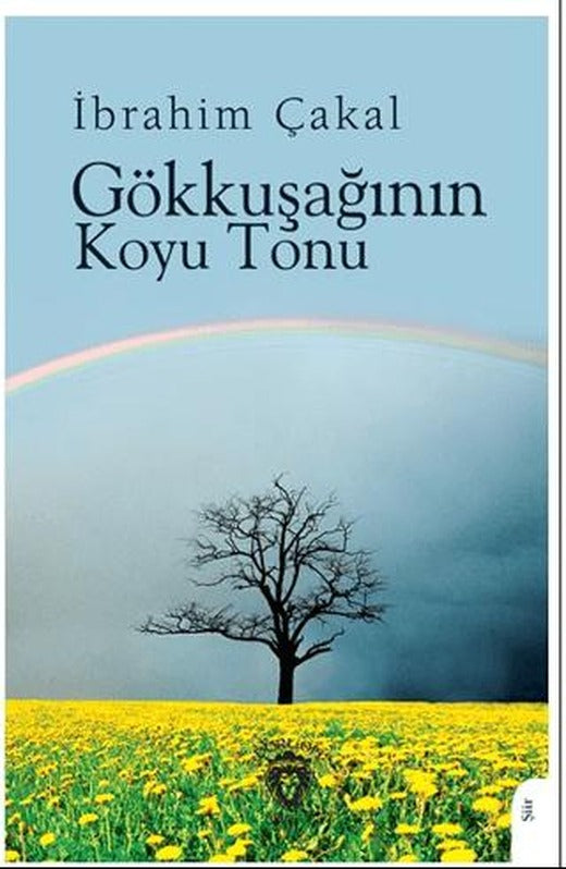 Gökkuşağının Koyu Tonu | Dorlion Yayınları (Ciltsiz)