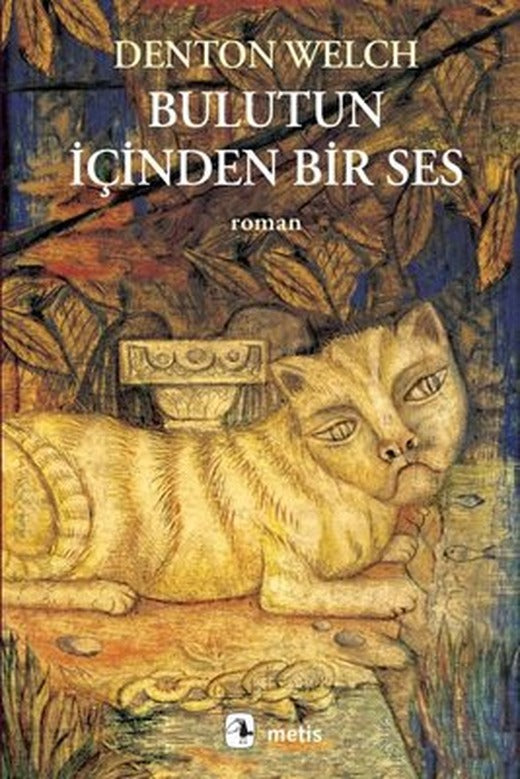 Bulutun İçinden Bir Ses | Metis Yayınları
