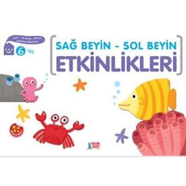 Sağ Beyin - Sol Beyin Etkinlikleri (6 Yaş)