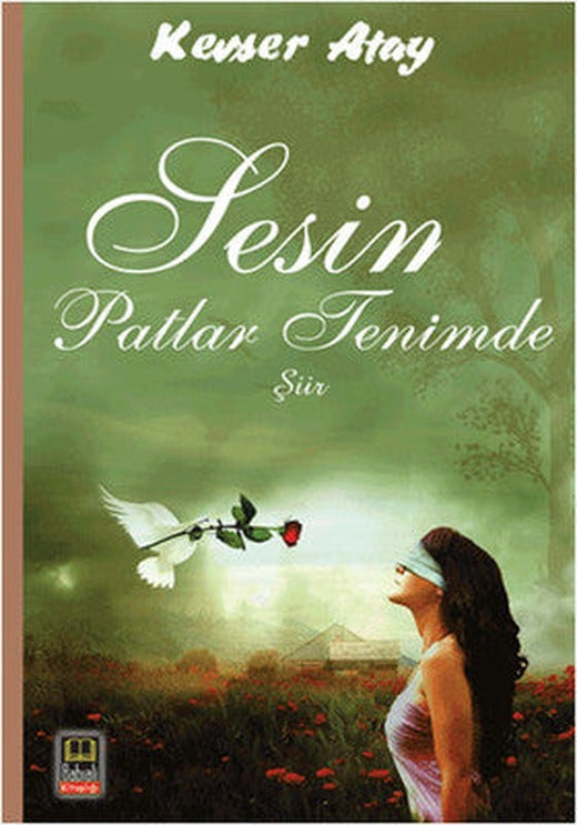 Sesin Patlar Tenimde | Ozan Yayıncılık