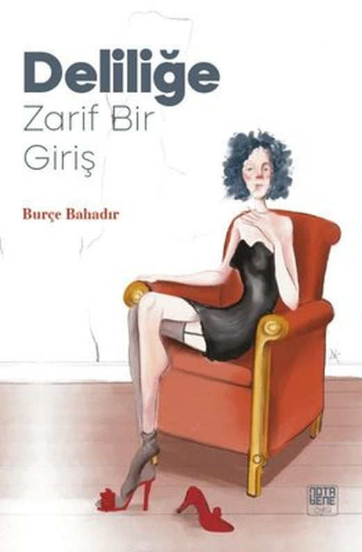 Deliliğe Zarif Bir Giriş | Nota Bene Yayınları (İnce Kapak)