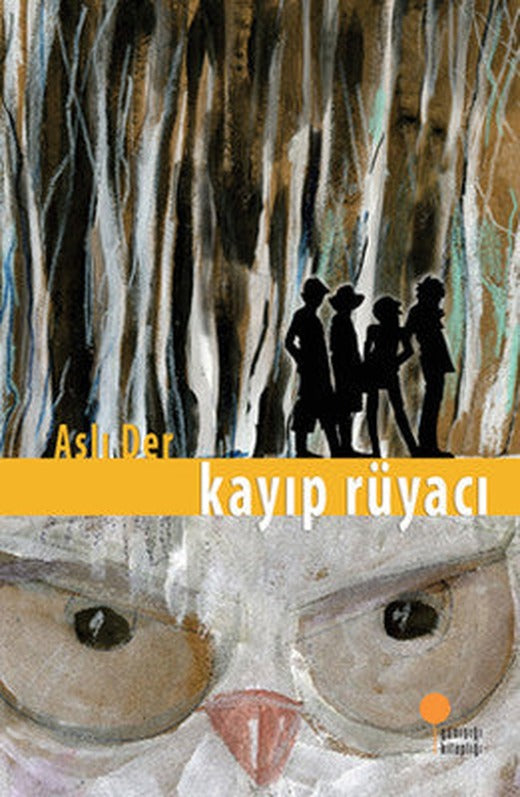 Kayıp Rüyacı | Günışığı Yayınları