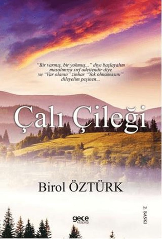 Çalı Çileği | Gece Kitaplığı (Ciltli)