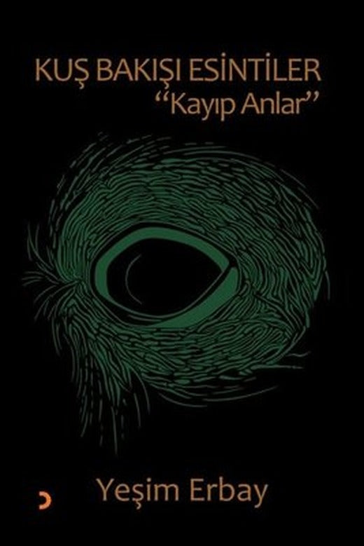 Kuş Bakışı Esintiler - Kayıp Anlar | Cinius