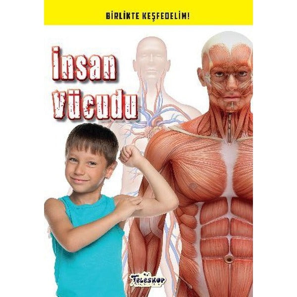 İnsan Vücudu