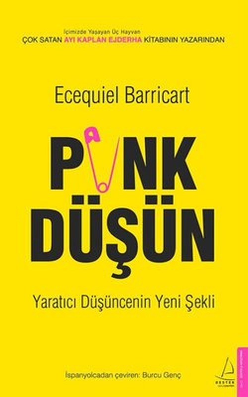 Punk Düşün-Yaratıcı Düşüncenin Yeni Şekli | Destek Yayınları