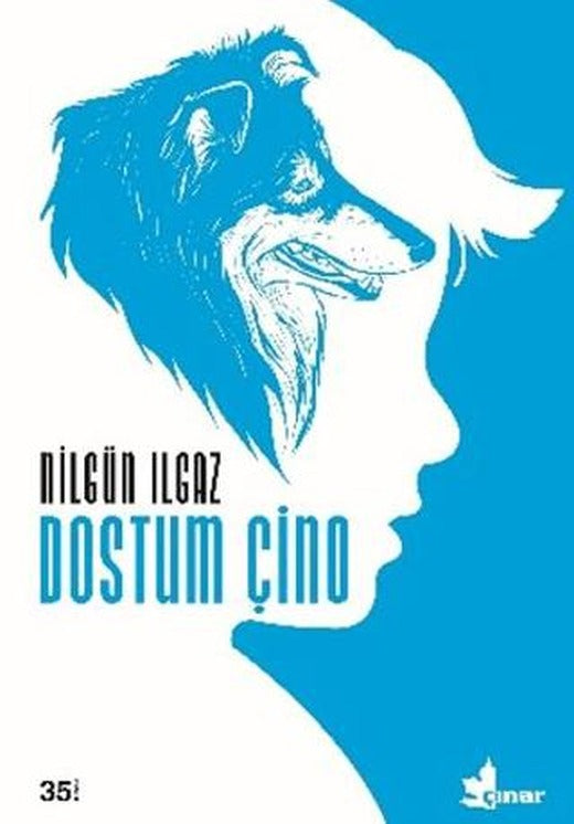 Dostum Çino
