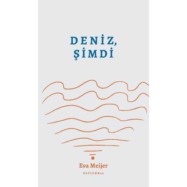 Deniz, Şimdi | Kaplumbaa (İnce Kapak)