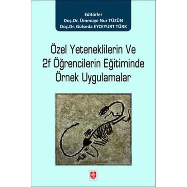 Özel Yeteneklilerin ve 2F Öğrencilerin Eğitiminde Örnek Uygulamalar | Ekin Basım Yayın (İnce Kapak)