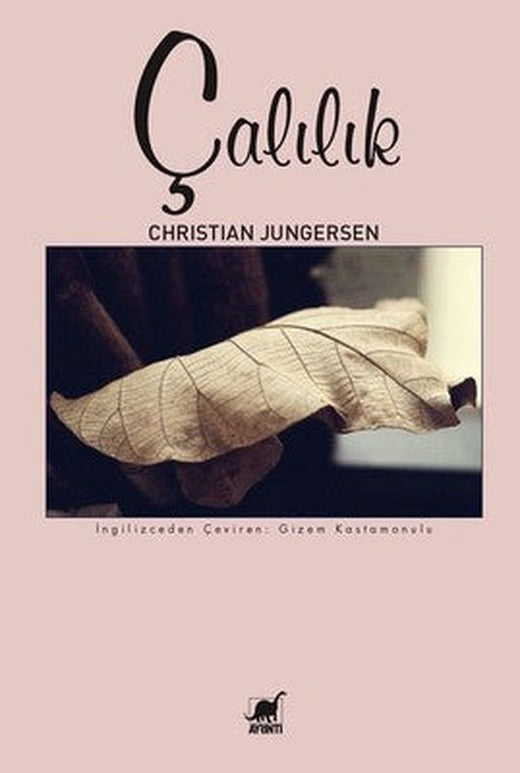 Çalılık | Ayrıntı Yayınları