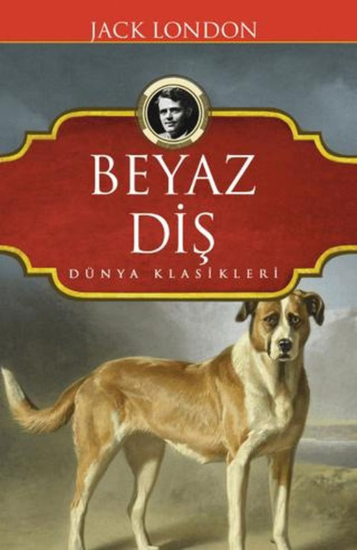 Beyaz Diş | Koloni (Ciltli)
