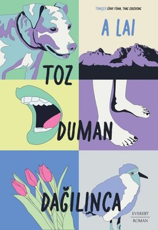 Toz Duman Dağılınca | Everest Yayınları