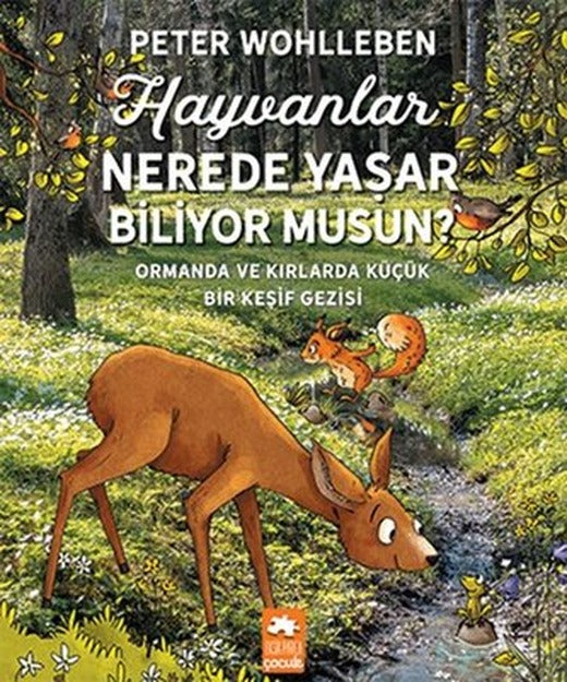 Hayvanlar Nerede Yaşar Biliyor musun? | Eksik Parça