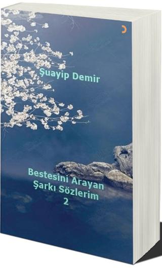 Bestesini Arayan Şarkı Sözlerim 2