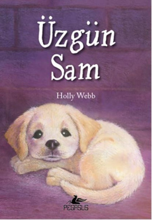 Üzgün Sam | Pegasus (İnce Kapak)