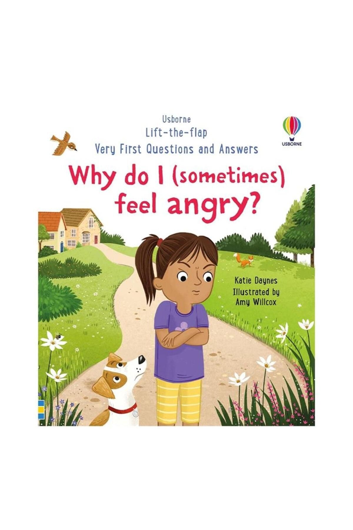 Very First Questions and Answers: Why do I (sometimes) feel angry? | Usborne (Ciltsiz)