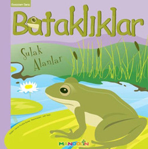 Ekosistem - 3/ Bataklıklar: Sulak Alanlar | Mandolin