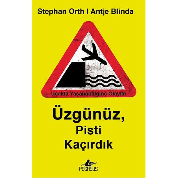 Üzgünüz Pisti Kaçırdık | Pegasus (İnce Kapak)