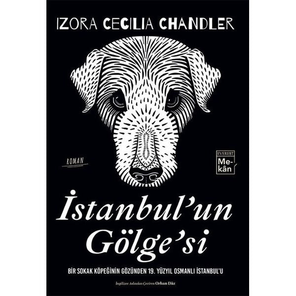 İstanbul'un Gölge'si: Bir Sokak Köpeğinin Gözünden 19Yüzyıl Osmanlı İstanbul'u | Everest Yayınları (İnce Kapak)