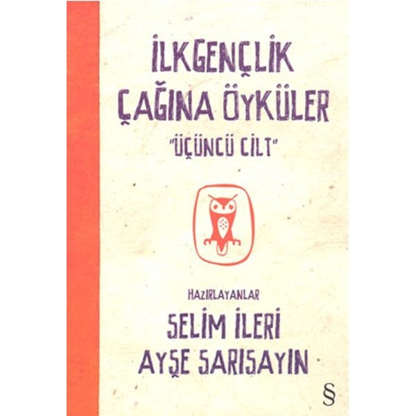 İlkgençlik Çağına Öyküler 3 | Everest Yayınları