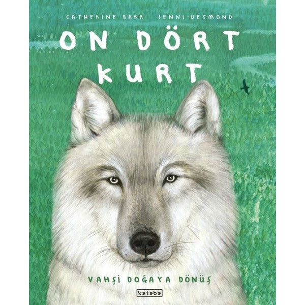 On Dört Kurt - Vahşi Doğaya Dönüş | Ketebe (Ciltli)