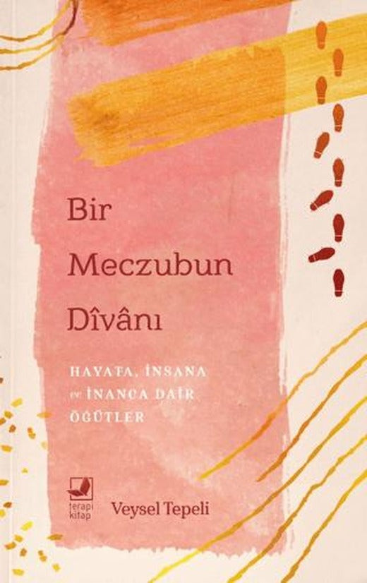 Bir Meczubun Divanı