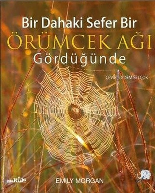 Bir Dahaki Sefer Bir Örümcek Ağı Gördüğünde | Nobel Çocuk