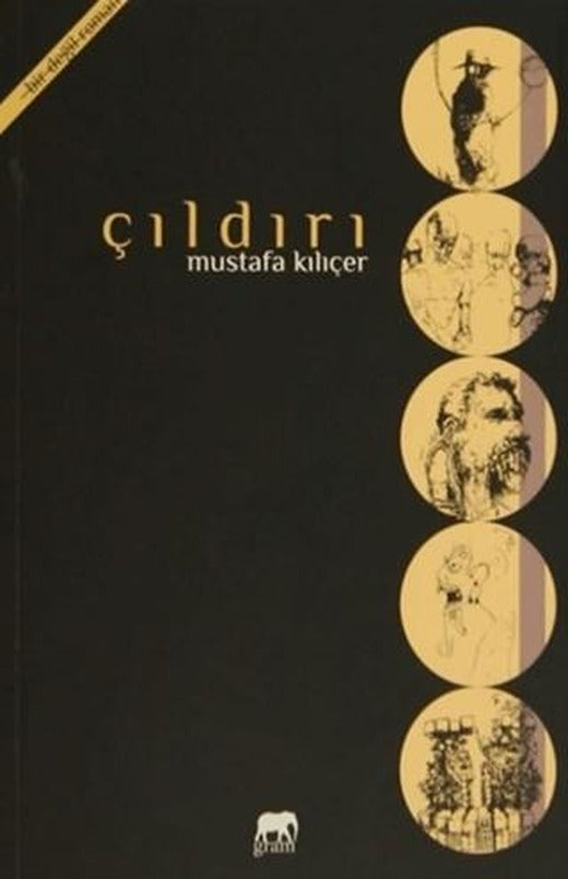 Çıldırı