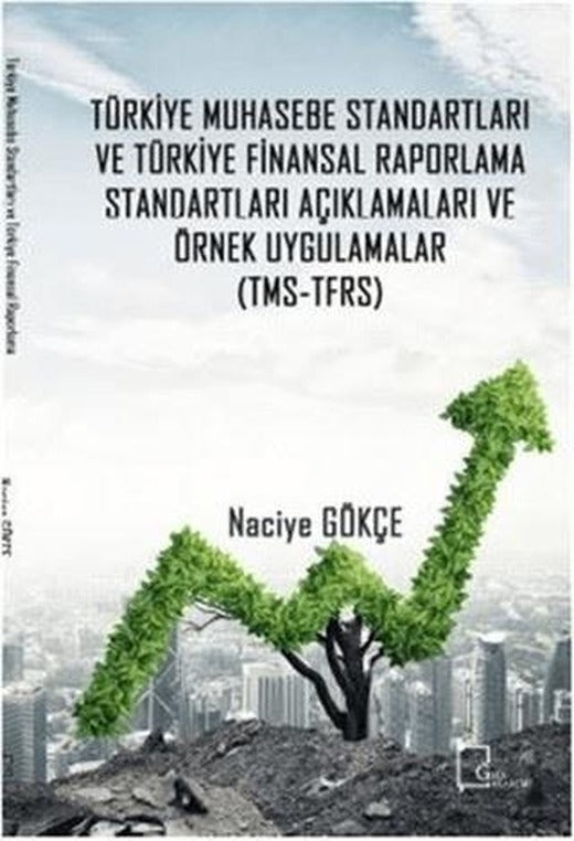 Türkiye Muhasebe Standartları ve Türkiye Finansal Raporlama Standartları Açıklamaları ve Örnek Uygulamalar