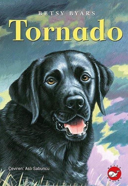 Tornado | Beyaz Balina Yayınları (İnce Kapak)