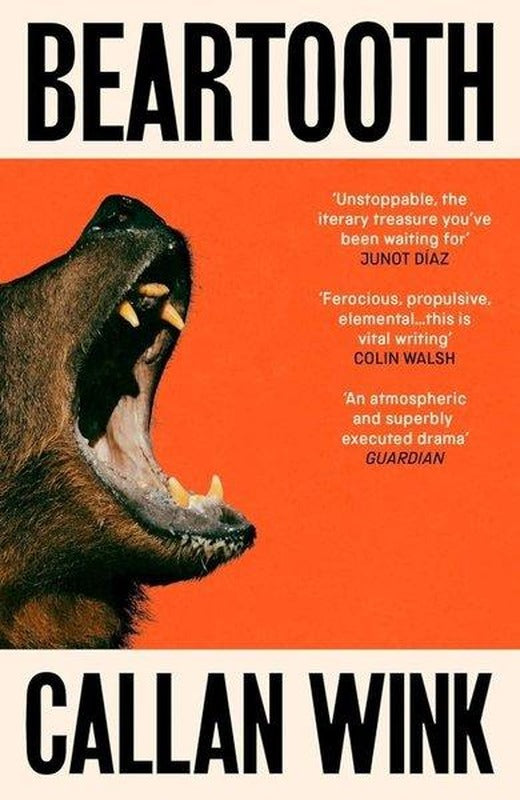 Beartooth | Granta (İnce Kapak)