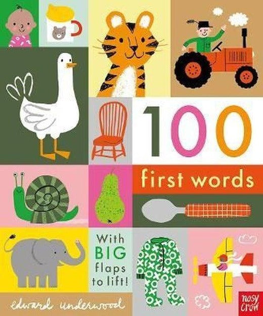100 First Words: With BIG flaps to lift! | NOSY CROW (Ciltli)