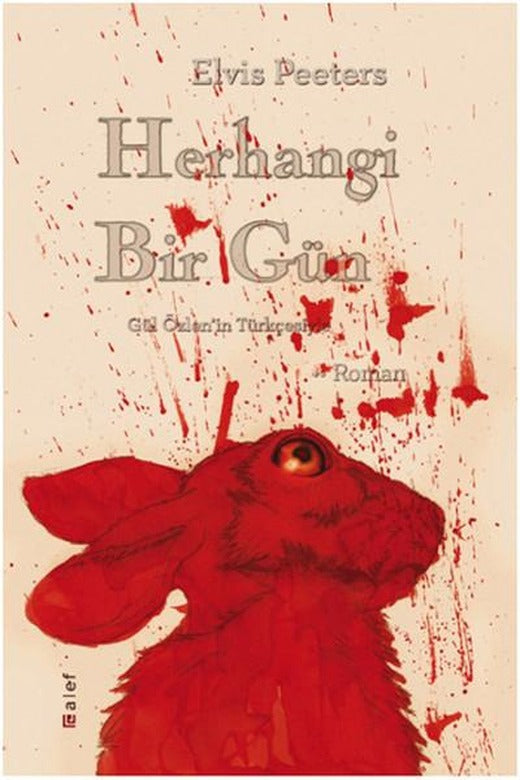 Herhangi Bir Gün | Alef (İnce Kapak)